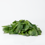 Albahaca Hierba