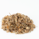 Arnica