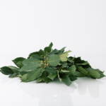 Hierba Laurel