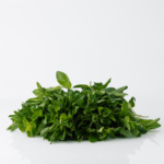 Hierba Menta