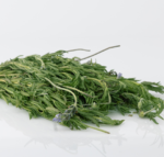 Hierba Lavanda