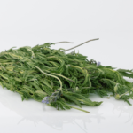 Hierba Lavanda
